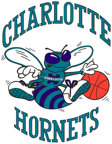 Charlotte Hornets 1988 89-2001 02 Primary Logo iron on paper